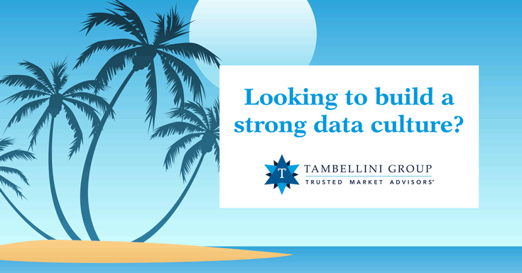 data governance with Tambellini