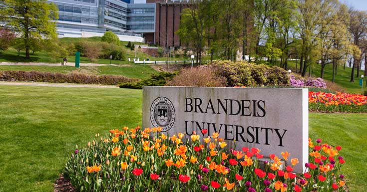 Brandeis Tech Solutions Case Study from Tambellini Group