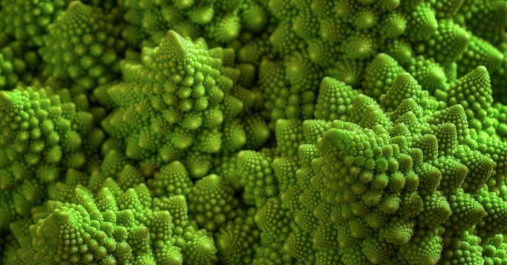 the intricate beauty of romanesco cauliflower